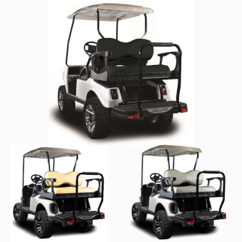 Buggies Unlimited - item 01-G250EZRXVDELUXE-P