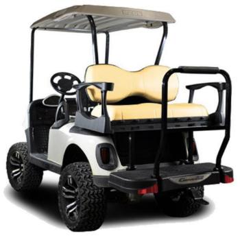 Buggies Unlimited - item 01-G250EZRXVDELUXE-P