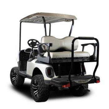 Buggies Unlimited - item 01-G250EZRXVDELUXE-P