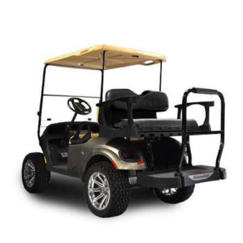 Buggies Unlimited - item 01-G250EZRXVSTD-P