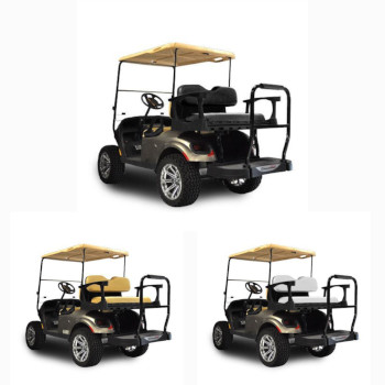 Buggies Unlimited - item 01-G250EZTXTSTD-P