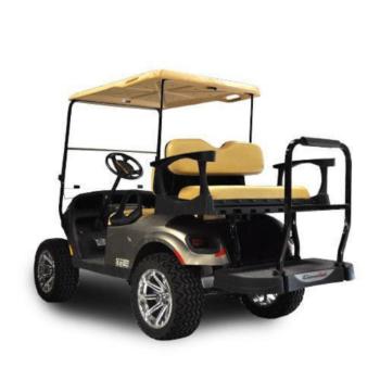 Buggies Unlimited - item 01-G250EZTXTSTD-P