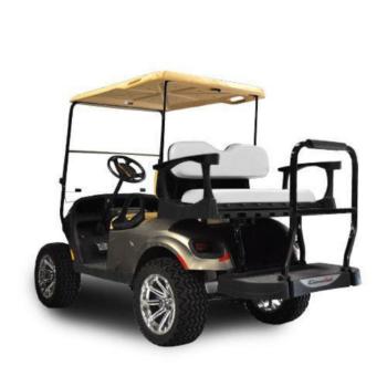 Buggies Unlimited - item 01-G250EZTXTSTD-P