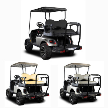 Buggies Unlimited - item 01-G300EZRXVDELUXE-P