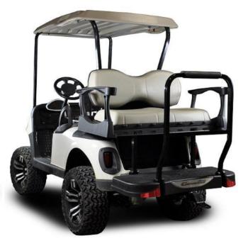 Buggies Unlimited - item 01-G300EZRXVDELUXE-P