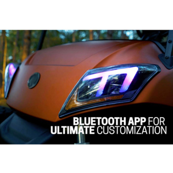 Buggies Unlimited - item 02-104