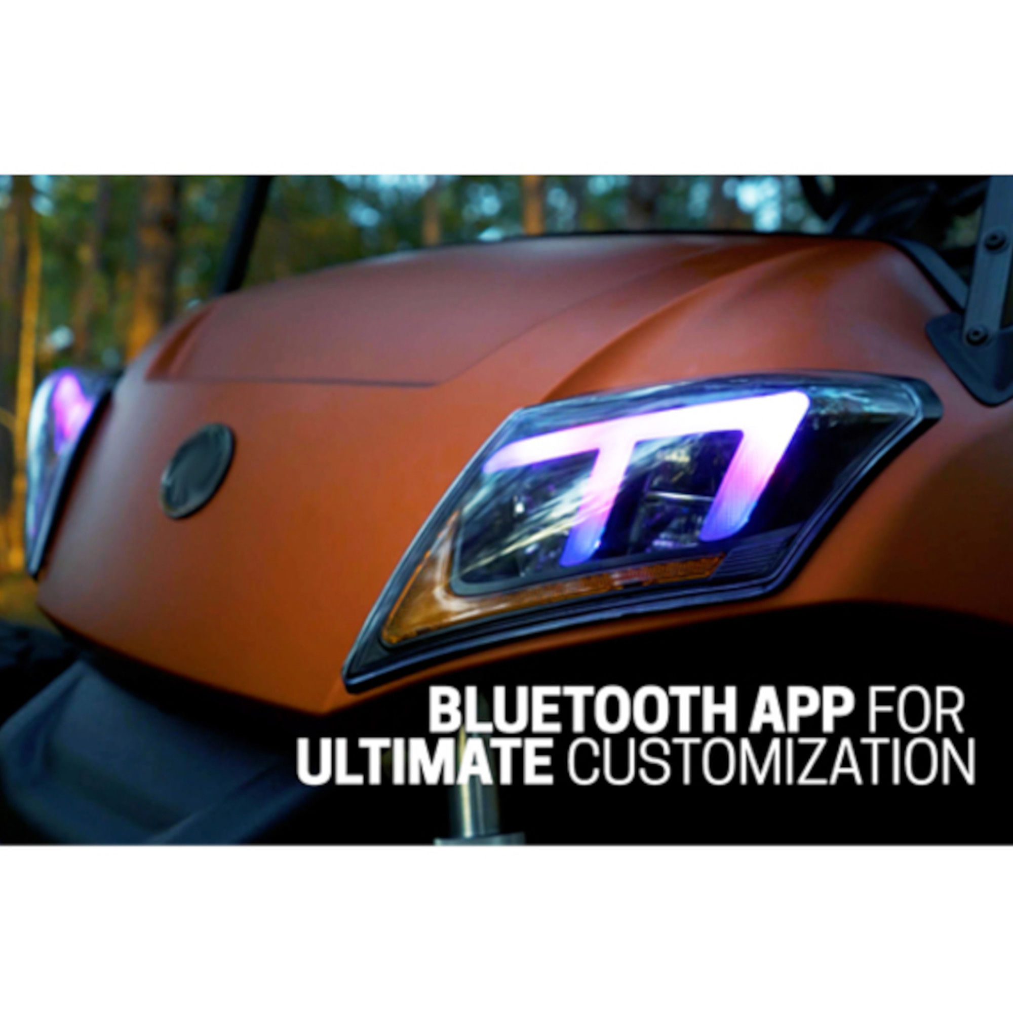 Buggies Unlimited - item 02-104