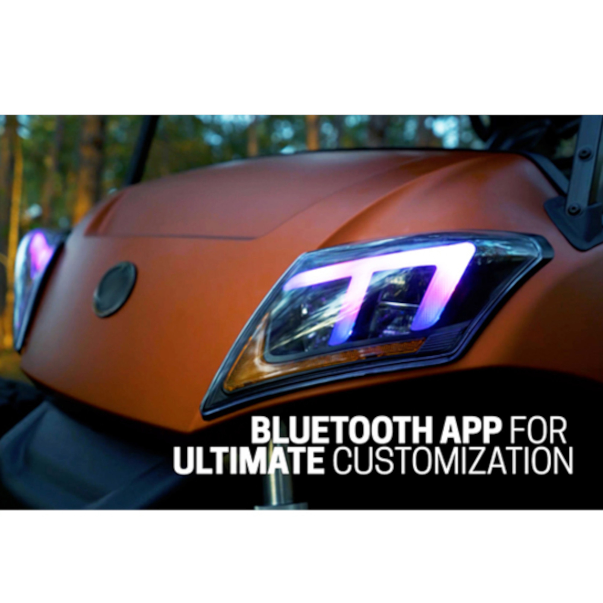 Buggies Unlimited - item 02-106