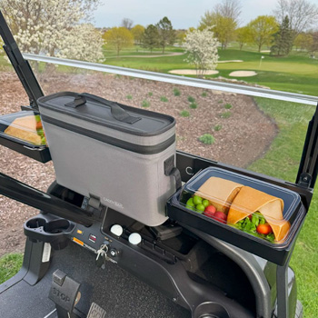 Buggies Unlimited - item 03-294