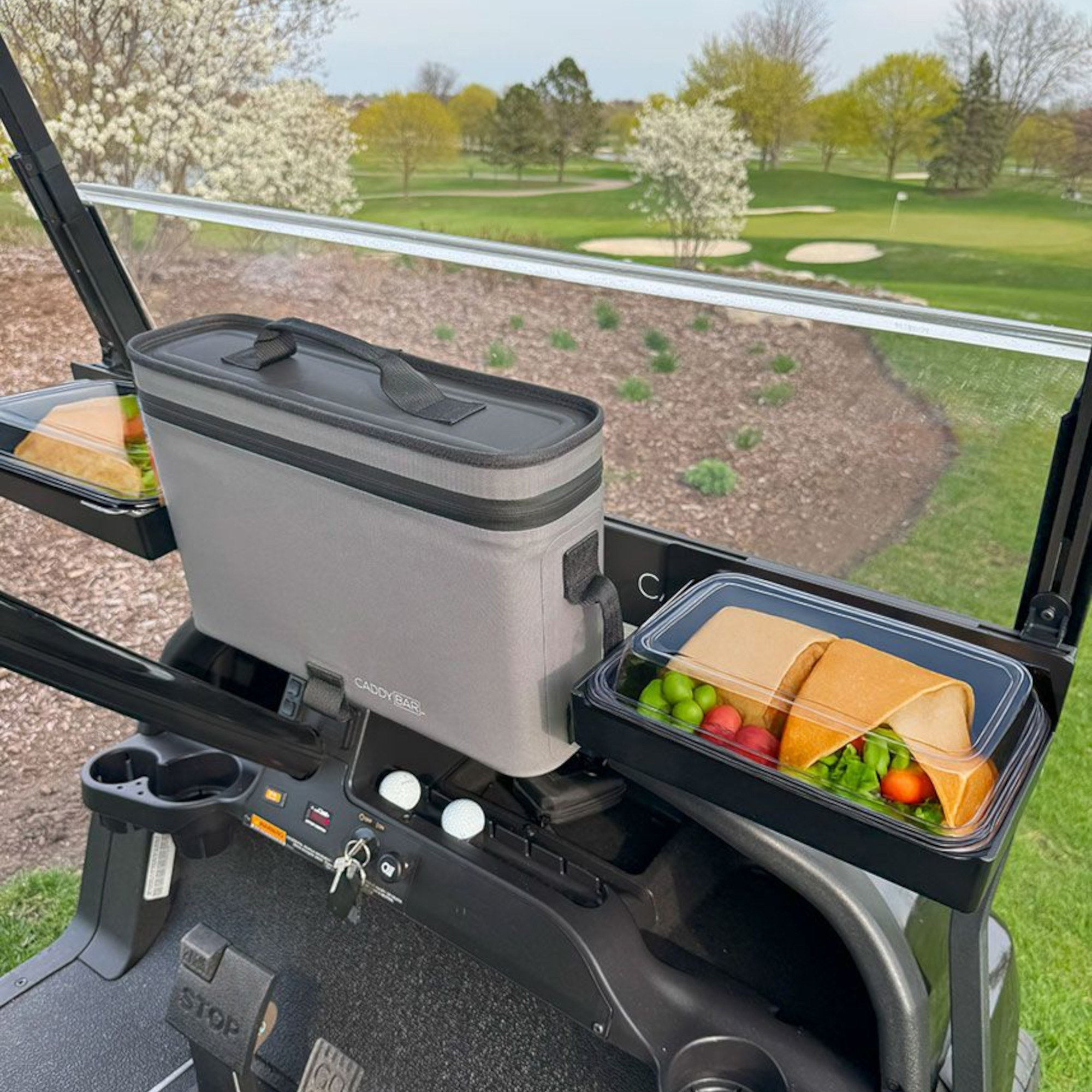 Buggies Unlimited - item 03-294