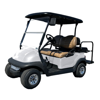 Buggies Unlimited - item 05-282-wh05