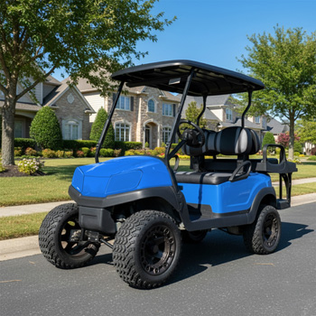 Buggies Unlimited - item 05-286-bl11