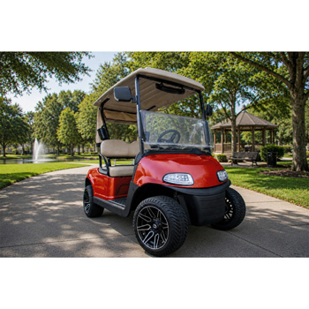 Buggies Unlimited - item 05-287-bk01