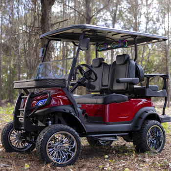 Buggies Unlimited - item 10-665