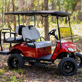 Buggies Unlimited - item 10-688