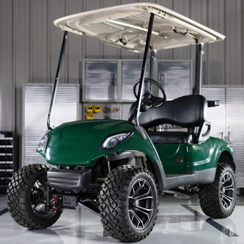 Buggies Unlimited - item 16-062