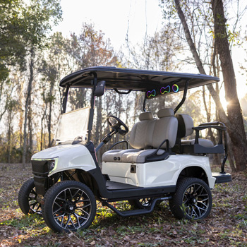 Buggies Unlimited - item 19-427