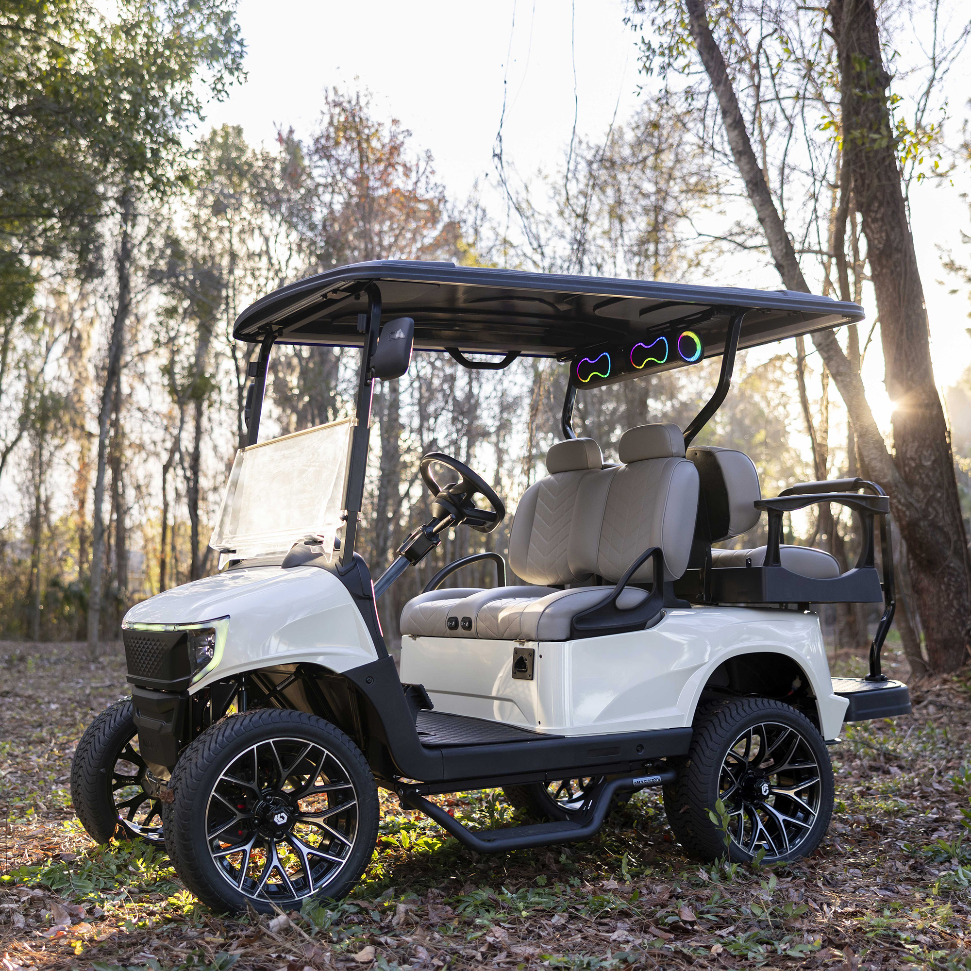 Buggies Unlimited - item 19-427