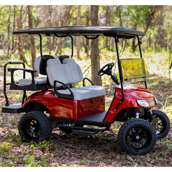 Buggies Unlimited - item 19-434