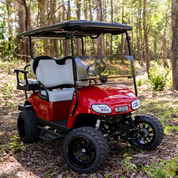 Buggies Unlimited - item 19-434