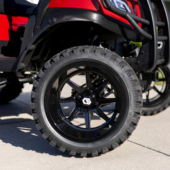 Buggies Unlimited - item 19-436