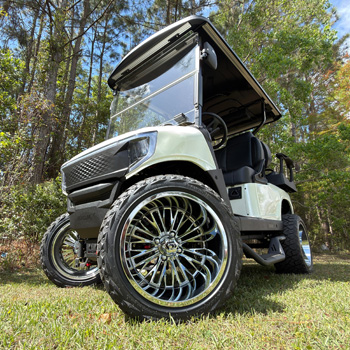 Buggies Unlimited - item 19-438