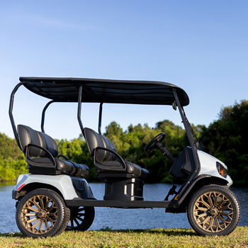 Buggies Unlimited - item 19-447