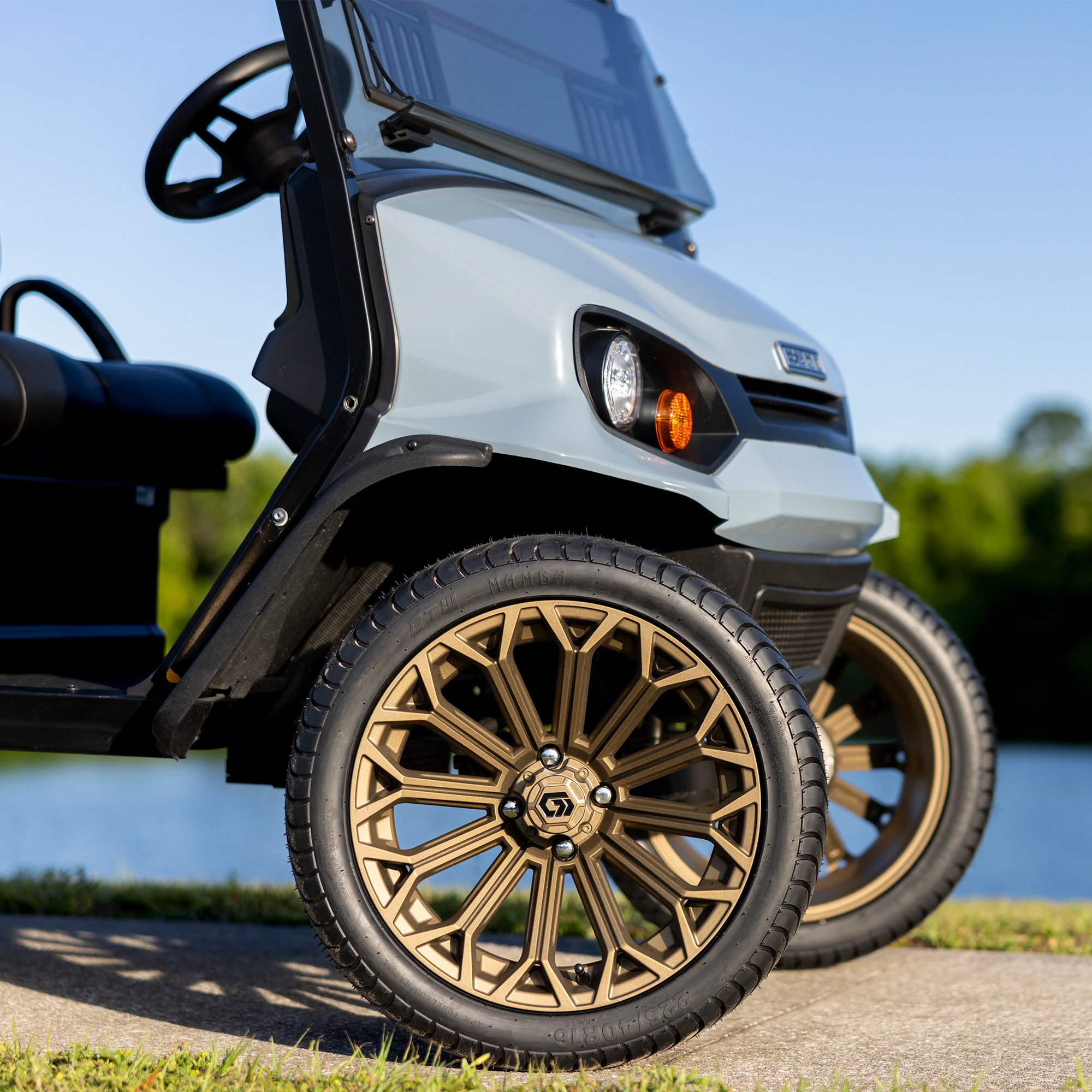 Buggies Unlimited - item 19-447