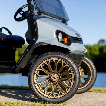 Buggies Unlimited - item 19-448