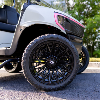 Buggies Unlimited - item 19-450