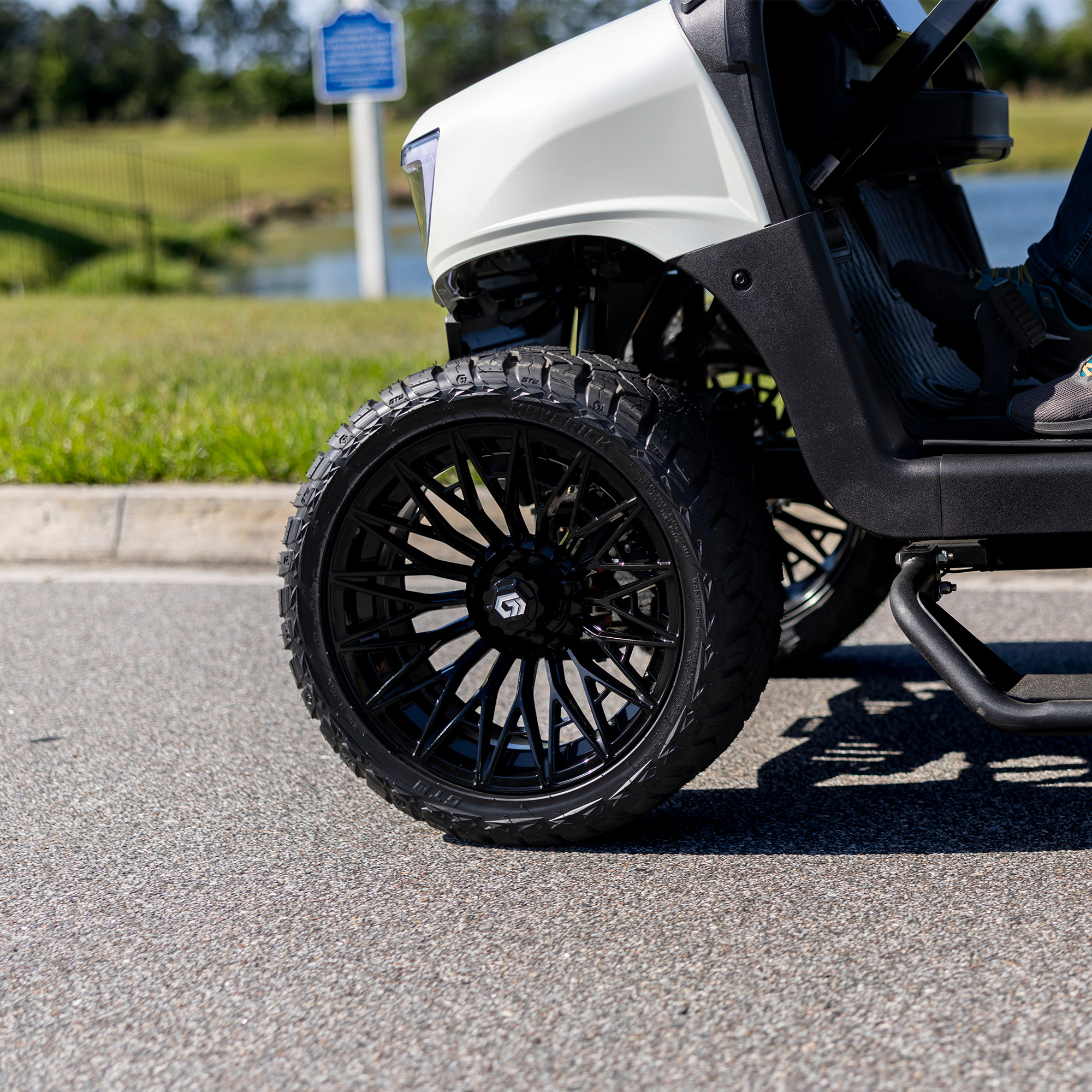 Buggies Unlimited - item 19-454