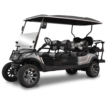 Buggies Unlimited - item 24-131