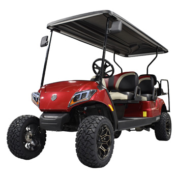 Buggies Unlimited - item 24-139