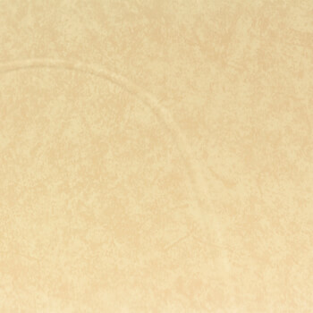 Buggies Unlimited - item 2937