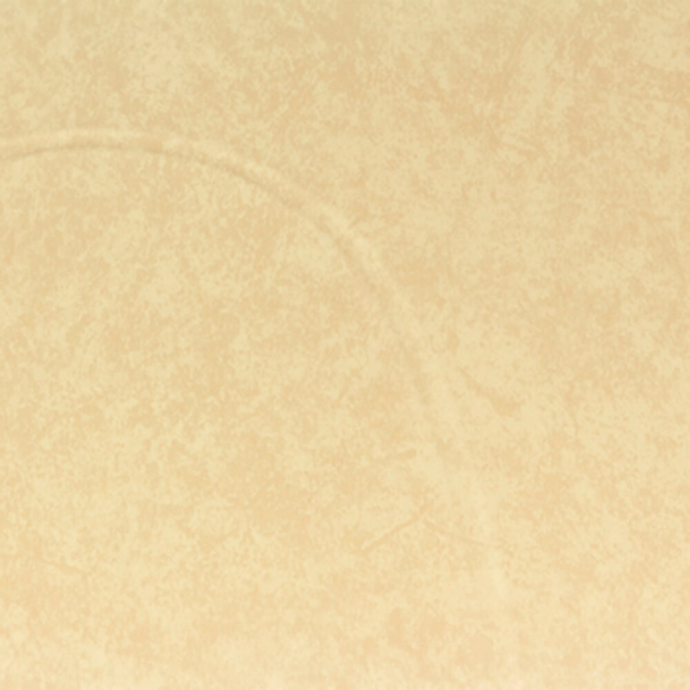 Buggies Unlimited - item 2937