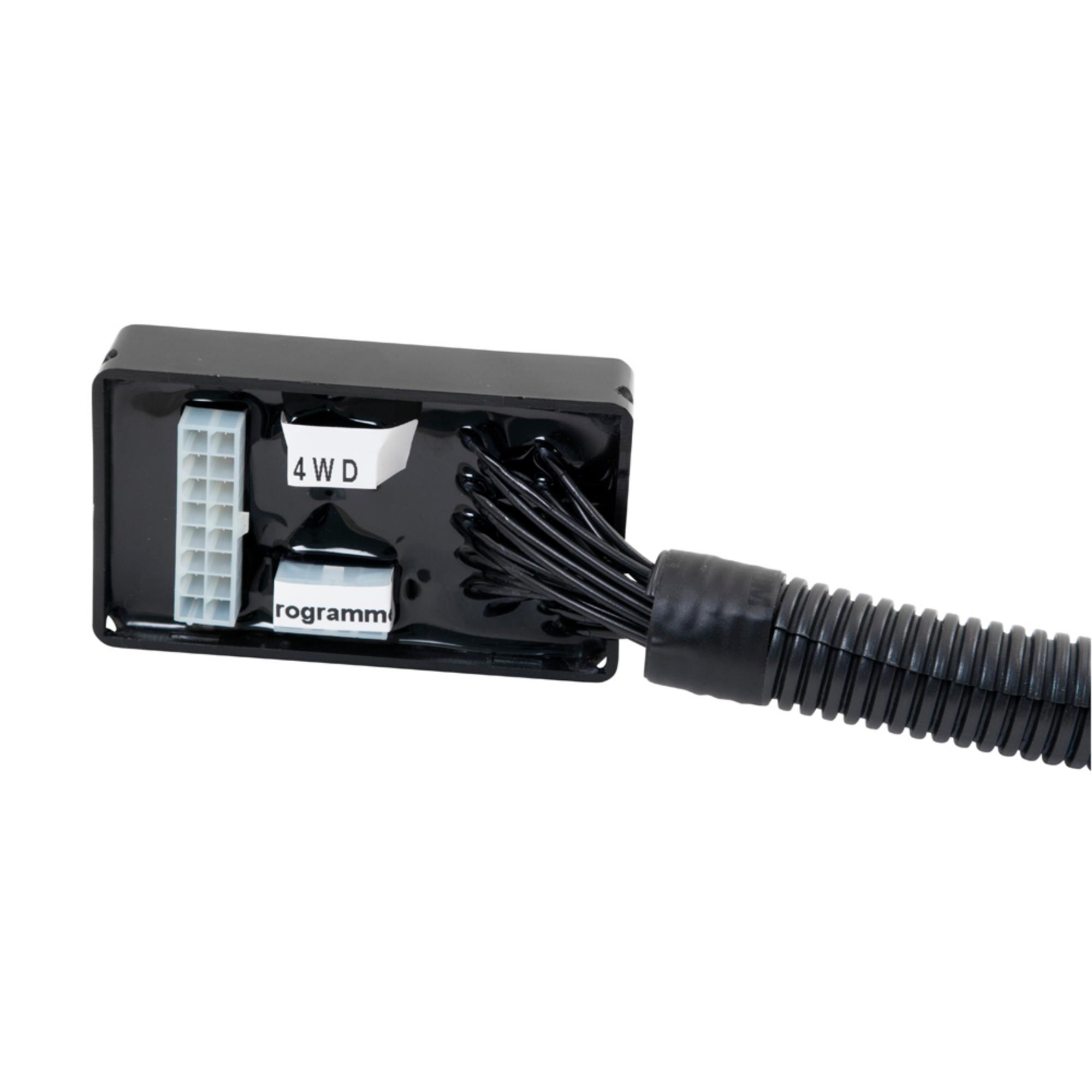 Buggies Unlimited - item 31923