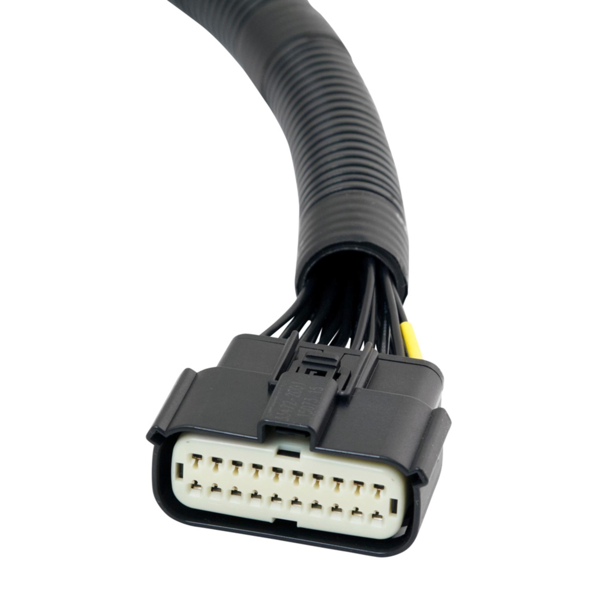 Buggies Unlimited - item 31923