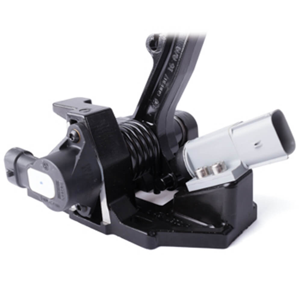 Buggies Unlimited - item 8000